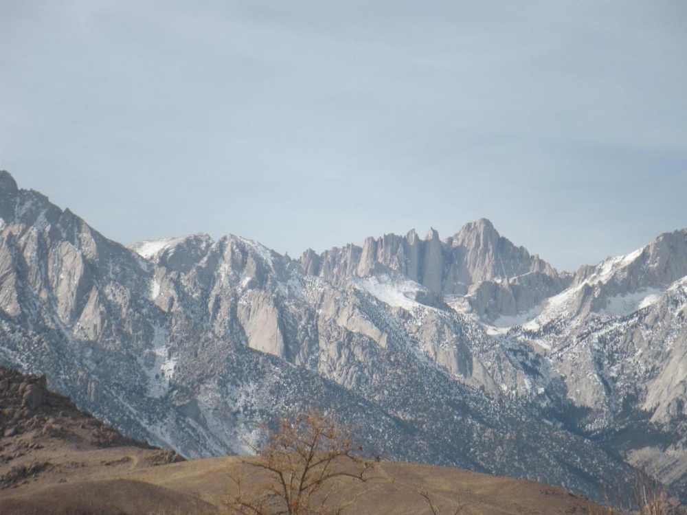 Lone Pine Budget Inn Main image